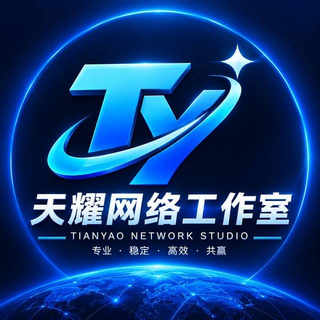 大荔县天耀网络工作室 Logo（TIANYAO NETWORK STUDIO）